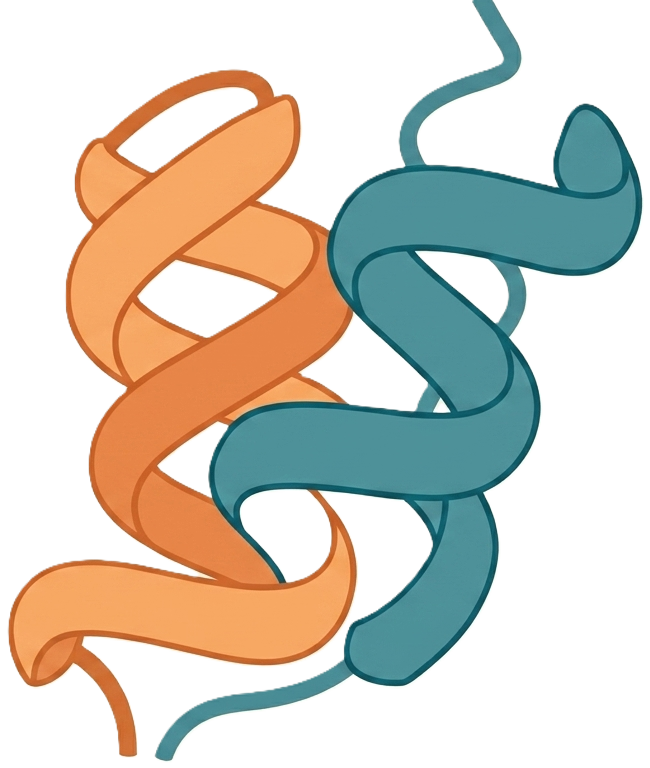 3D protein helix render